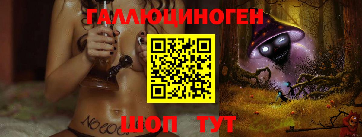 Новоалтайск  Псилоцибиновые грибы Psilocybine cubensis  Вход с VPN 